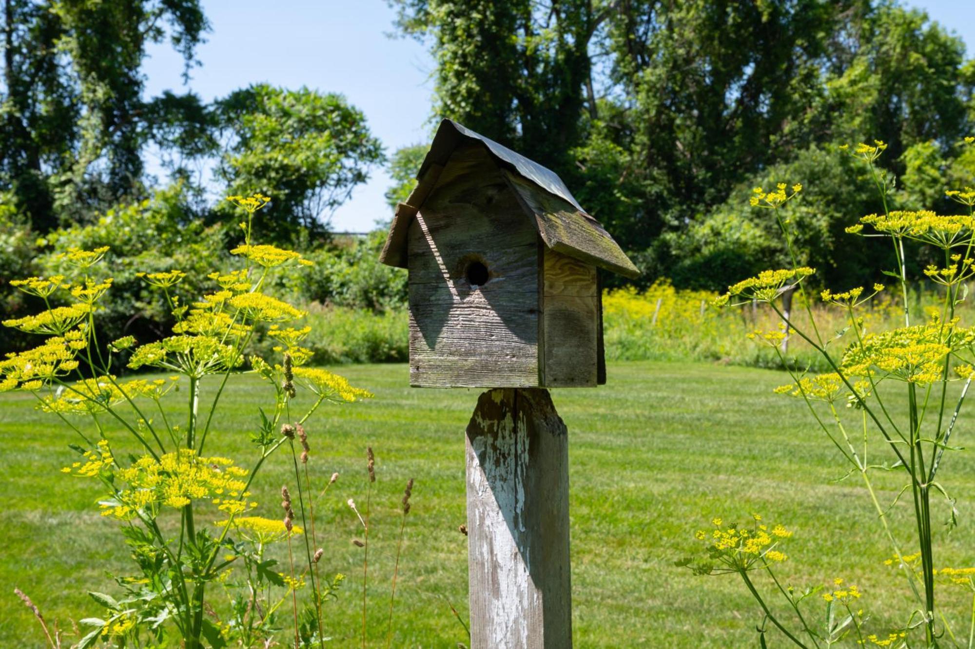 Red Fox Run B&B Cazenovia Luaran gambar